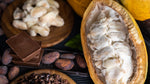 The Surge in Cost of Cacao - A JACEK Perspective