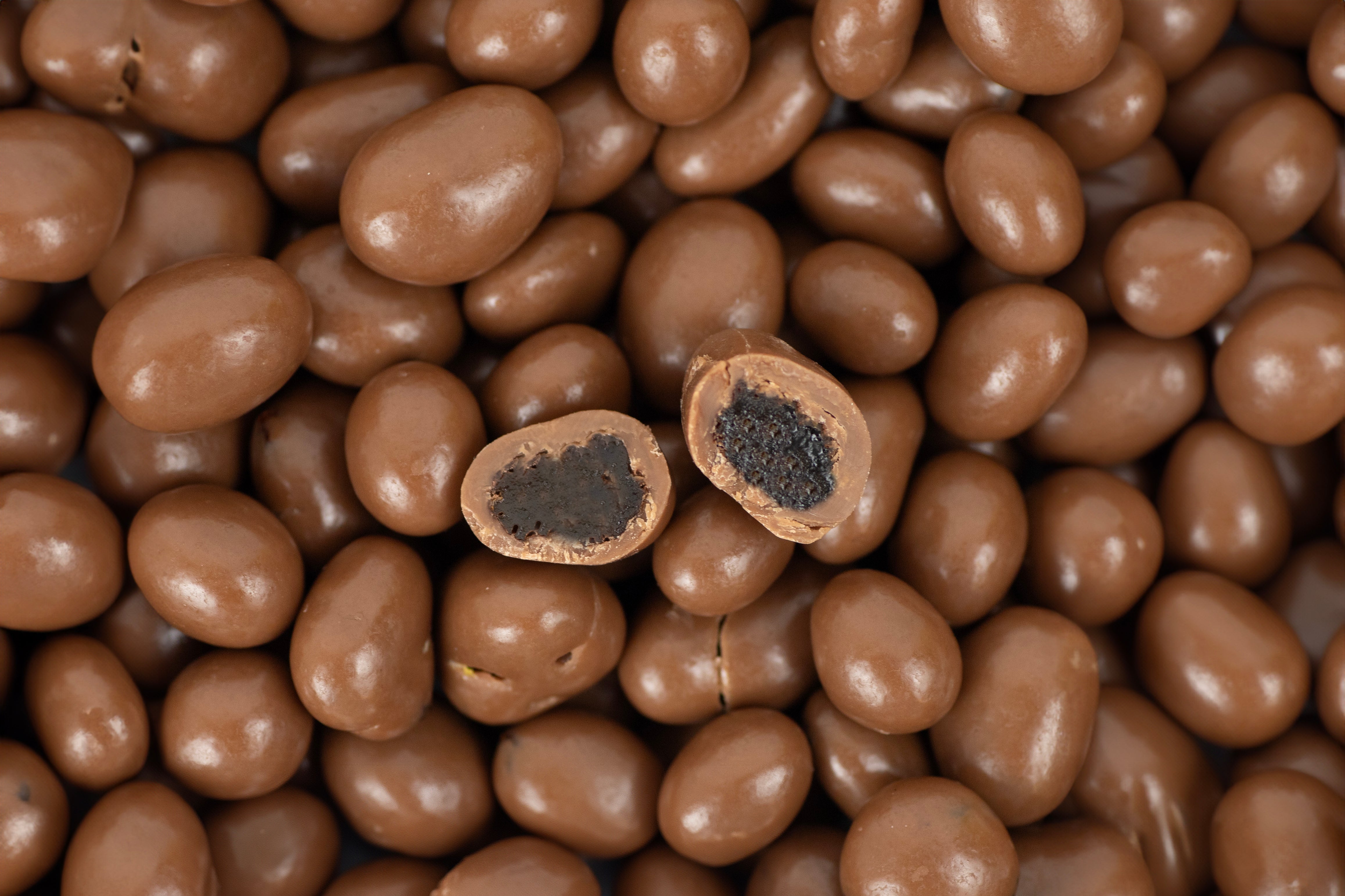 Milk Chocolate Raisins