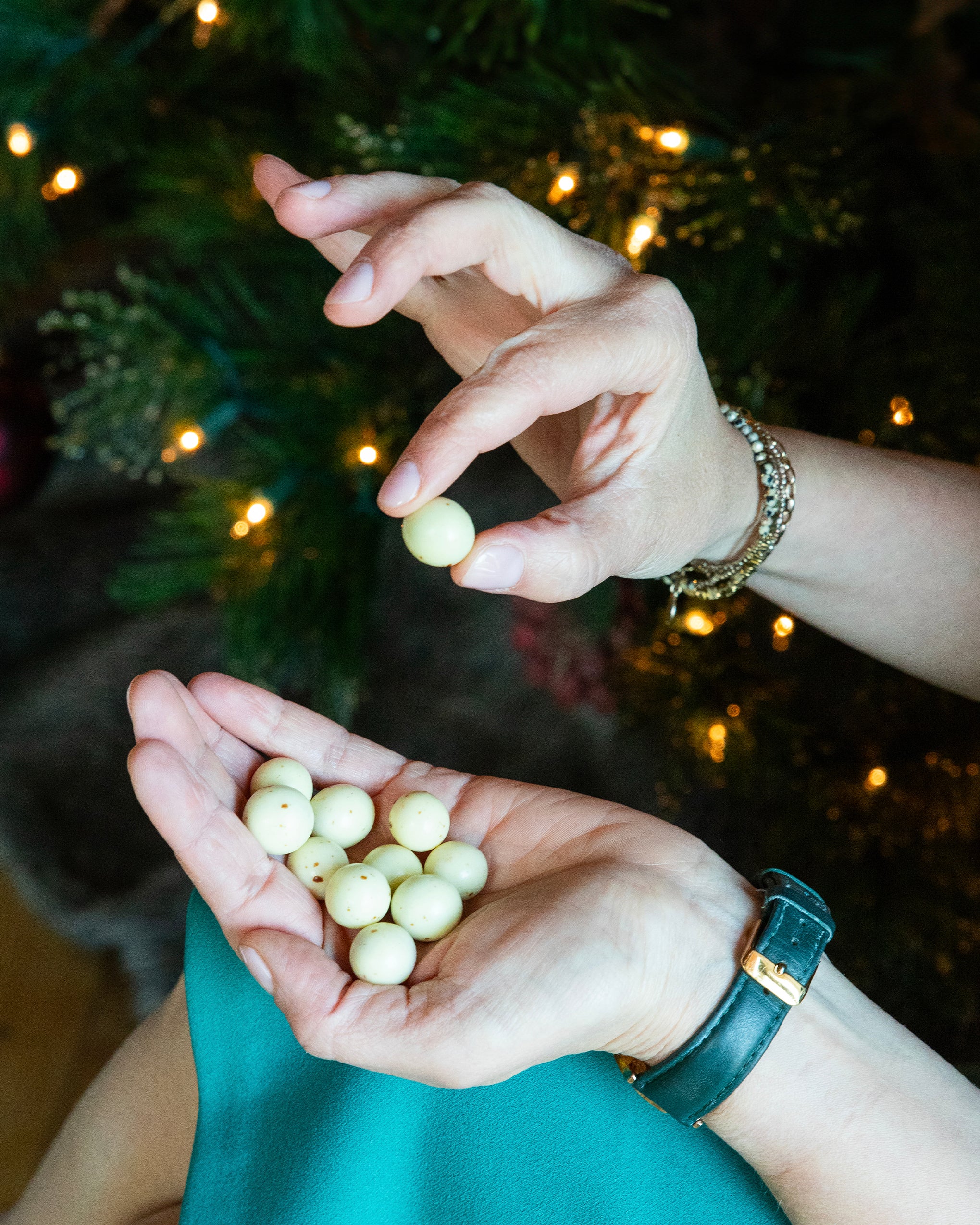 JACEK Chocolate Couture