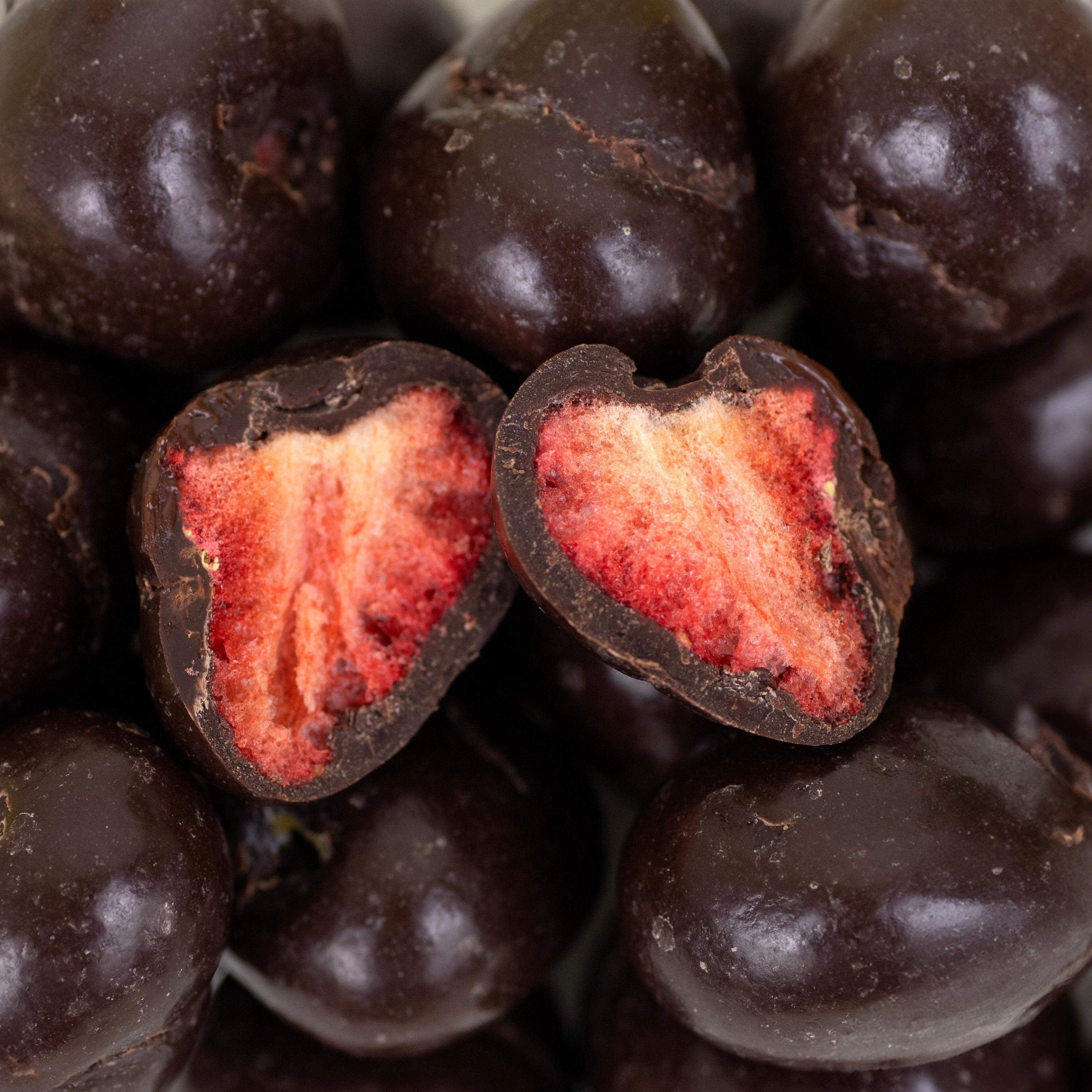 JACEK Chocolate Couture